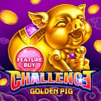 FEATURE BUY   Golden Pig